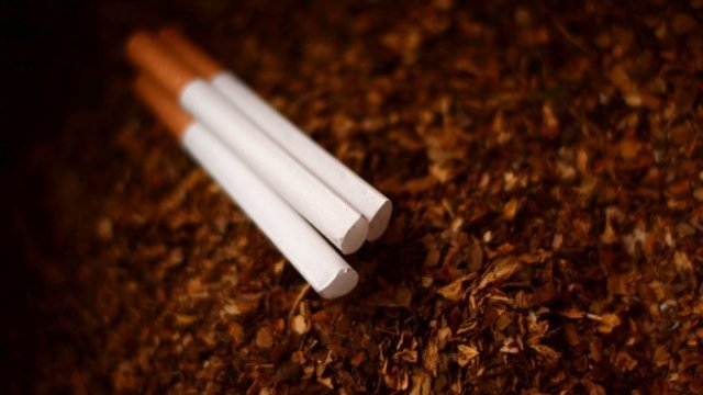 <p>
	<em>Снимка: Pixabay.com</em></p>
