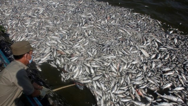 <p>
	<em>Снимка: Архив Ройтерс</em></p>
