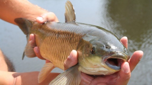 <p>
	<em>Снимка: freeimages.com</em></p>
