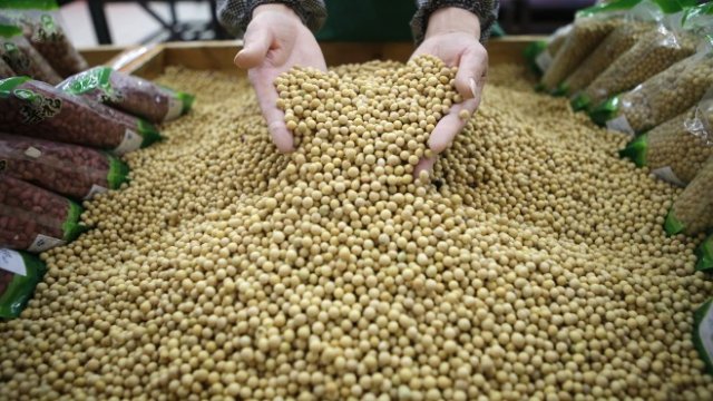 <p>
	<em>Снимка: Ройтерс</em></p>
