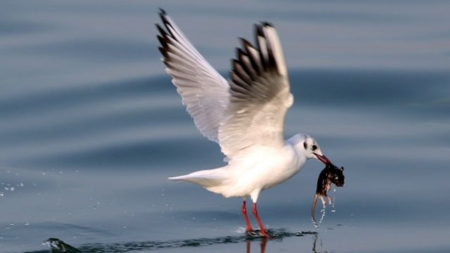 <p>
	<em>Снимка: Ройтерс</em></p>
