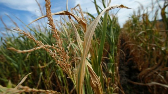 <p>
	<em>Снимка: Ройтерс</em></p>
