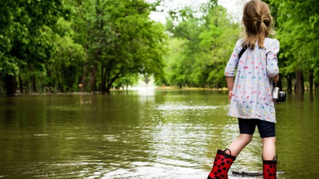 <p>
	<em>Снимка: Pixabay</em></p>
