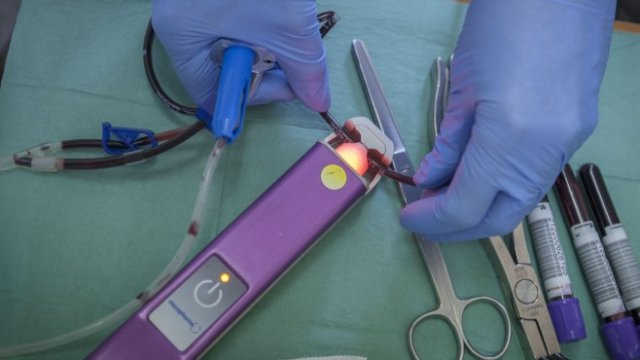 <p>
	<em>Снимка: Димитър Кьосемарлиев, Investor Media Group</em></p>
