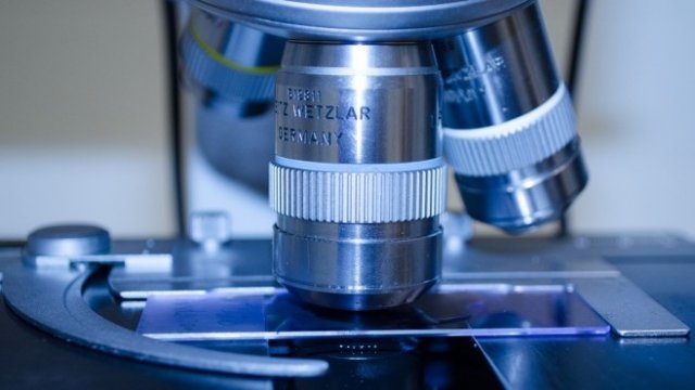 <p>
	<em>Снимка: Pixabay</em></p>
