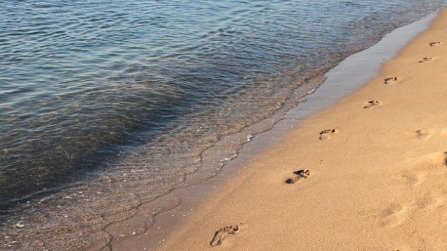 <p>
	<em>Снимка: Pixabay</em></p>
