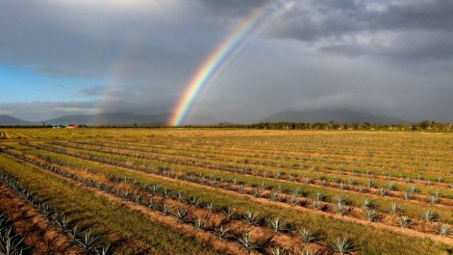 <p>
	<em>Снимка:&nbsp;Brendon Thorne/Bloomberg</em></p>
