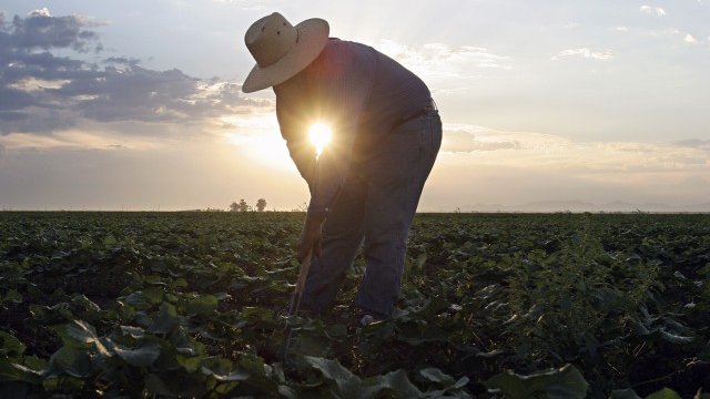 <p>
	<em>Снимка: Архив, Ройтерс</em></p>
