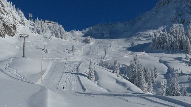 <p>
	<em>Снимка: Pixabay</em></p>
