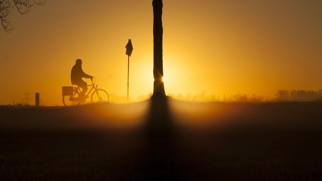 <p>
	<em>Снимка: Pixabay</em></p>
