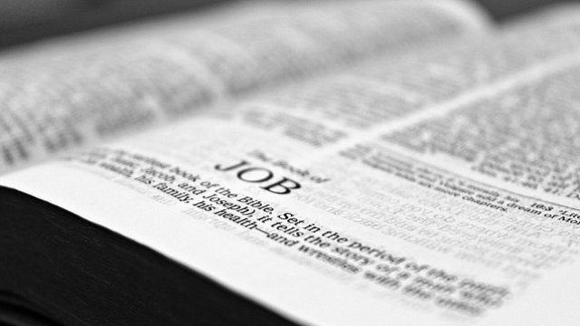 <p>
	<em>Снимка: Pixabay</em></p>
