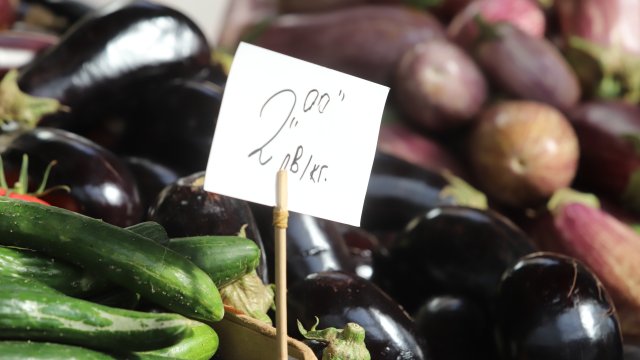 Снимка: Михаела Катеринска, БГНЕС