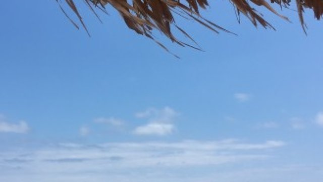 <p>
	<em>Снимка: Гергана Костадинова, БГНЕС</em></p>
