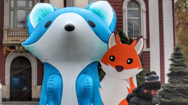 Снимка: Димитър Кьосермалиев, Investor Media Group