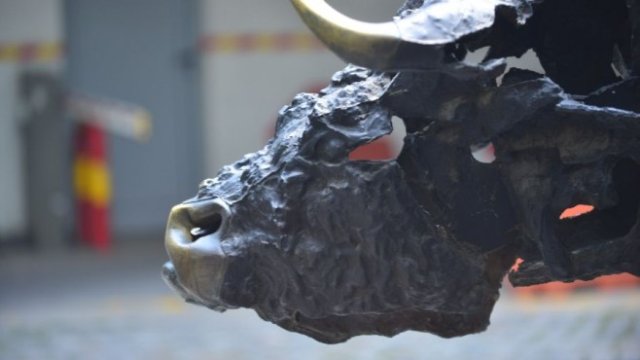 <p>
	<em>Снимка: БФБ</em></p>
