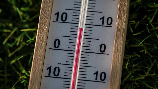 Снимка: Bloomberg