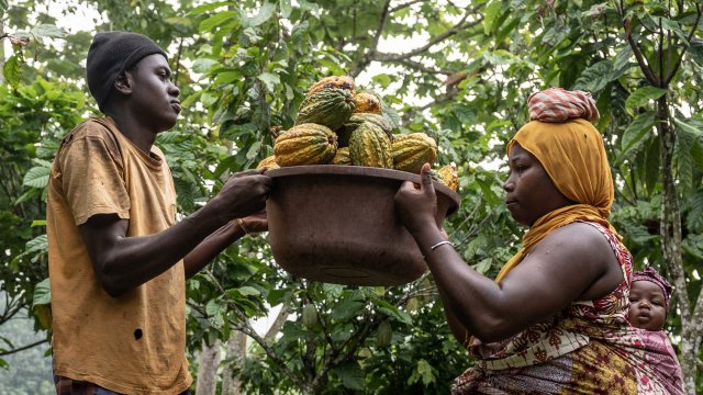 Снимка: Bloomberg L.P.