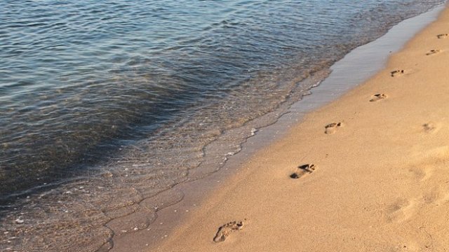 <p>
	<em>Снимка: Pixabay</em></p>
