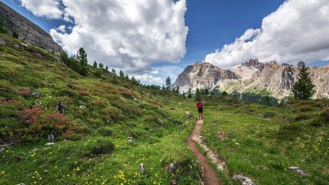 <p>
	<em>Снимка: Pixabay</em></p>
