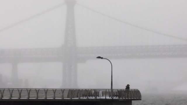 <p>
	<em>Снимка: Unsplash</em></p>
