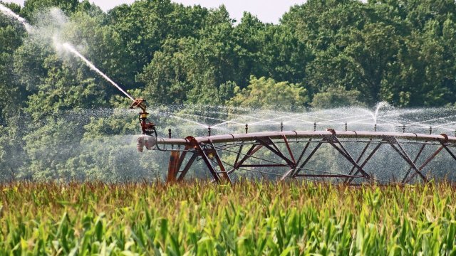 Снимка: Pixabay