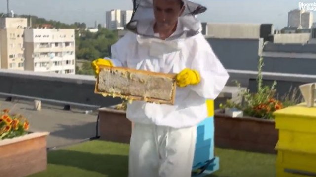 Градско пчеларство и енергийна ефективност превръщат „Бизнес парк София“ в зелен "град в града"