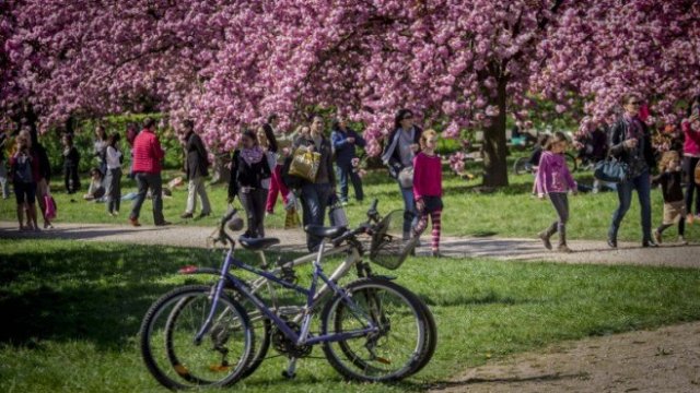 <p>
	<em>Снимка: архив БТА</em></p>
