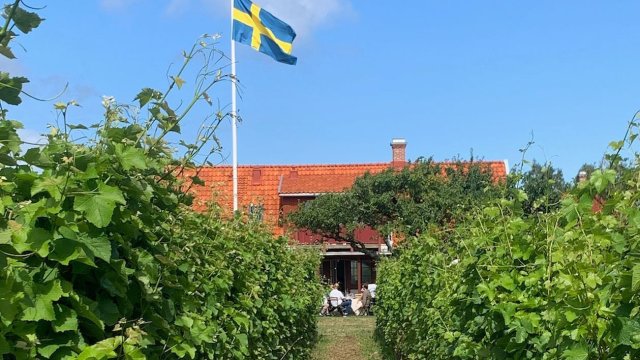 Снимка: Kullabergs Ving&aring;rd Facebook page