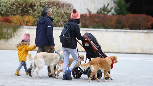 Снимка: БГНЕС