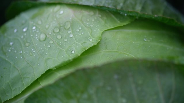 Снимка: Bloomberg LP