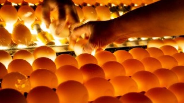 <p>
	<em>Снимка: Bloomberg LP</em></p>
