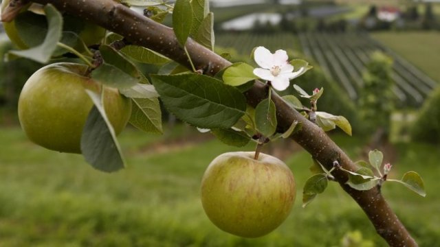 <p>
	<em>Снимка: Архив Ройтерс</em></p>
