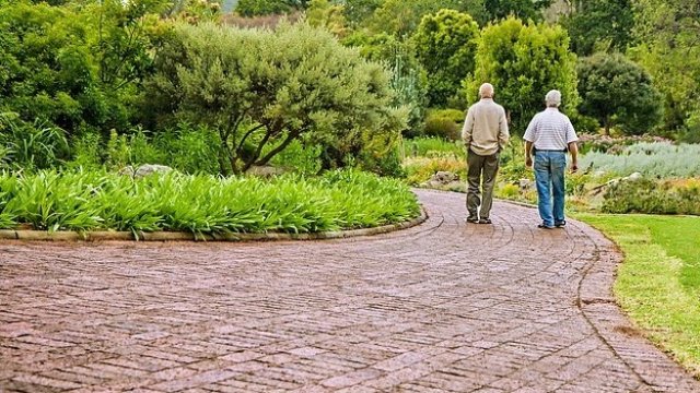 <p>
	<em>Снимка: Pixabay</em></p>
