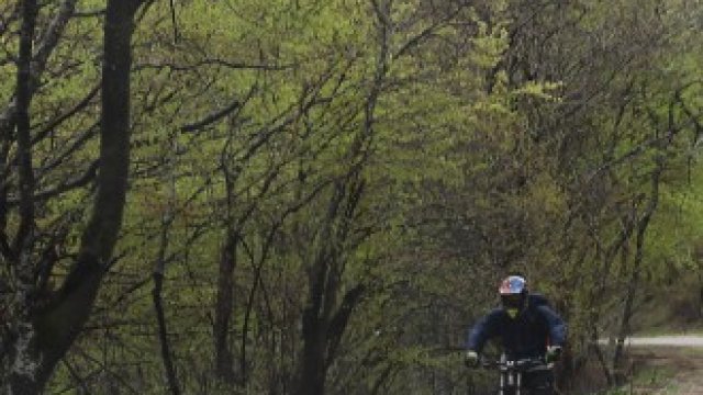 <p>
	<em>Снимка: Гергана Костадинова, БГНЕС</em></p>
