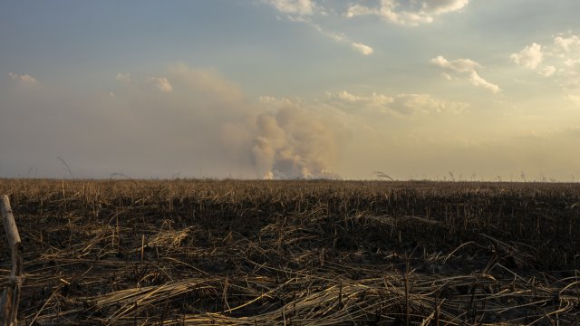 Снимка: Sebastian Lopez Brach/Bloomberg