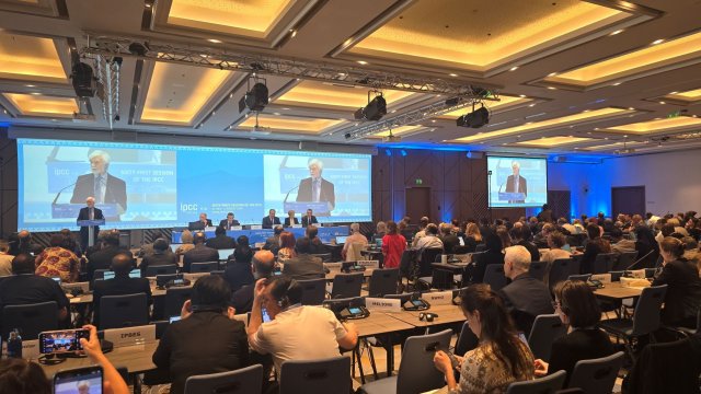 Снимка: БГНЕС/Димитър Русков