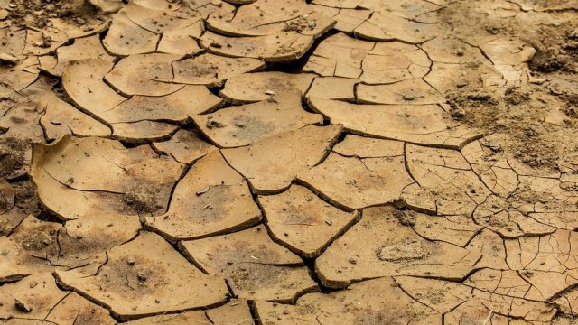 Снимка: Pixabay