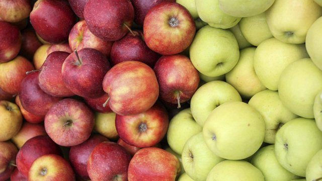 Снимка: Архив Ройтерс