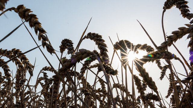 Снимка: Bloomberg L.P.