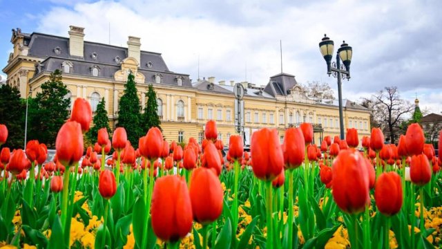 Снимка: Столична община