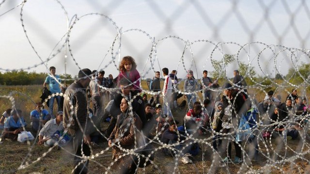 <p>
	<em>Бежанци чакат от сръбската страна на границата с Унгария. Снимка: Ройтерс</em></p>
