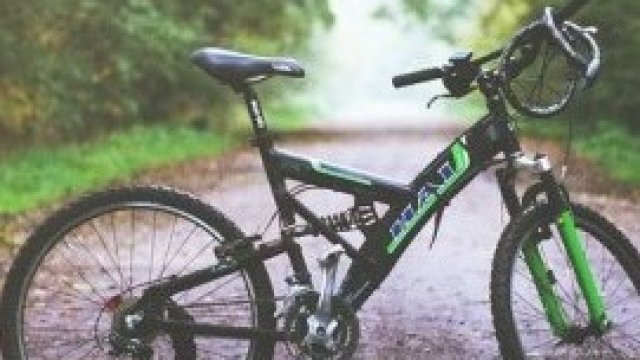 <p>
	<em>Снимка: Pixabay.com</em></p>
