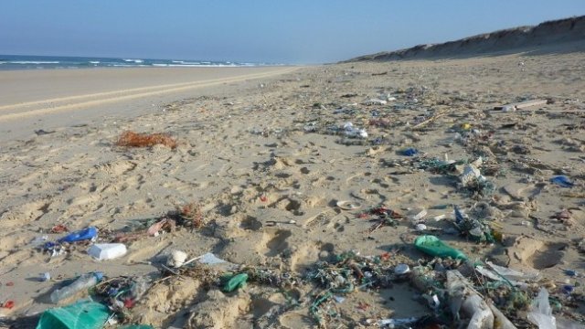 <p>
	<em>Снимка: Pixabay</em></p>
