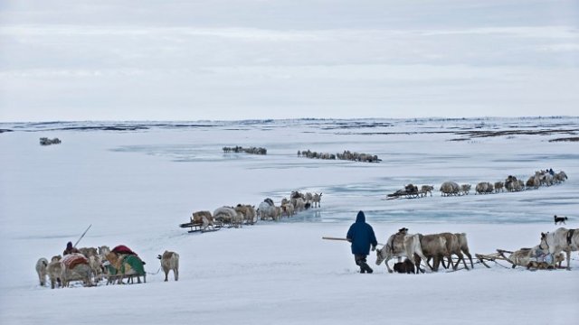 <p>
	<em>Снимка: Getty</em></p>
