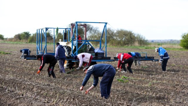 Снимка: Bloomberg