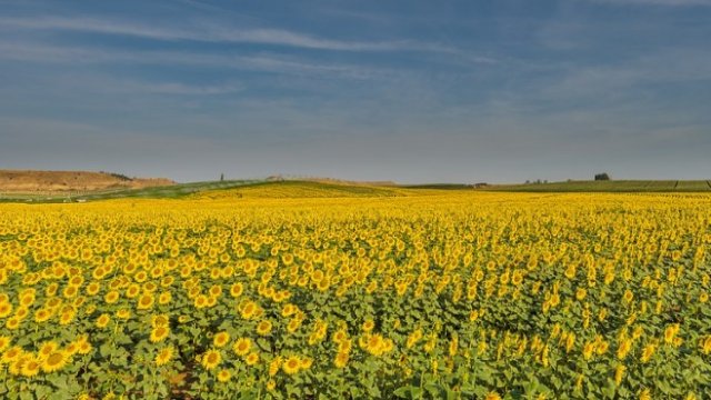 <p>
	<em>Снимка: Pixabay</em></p>
