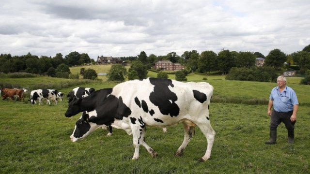 <p>
	<em>Снимка: Архив Ройтерс</em></p>
