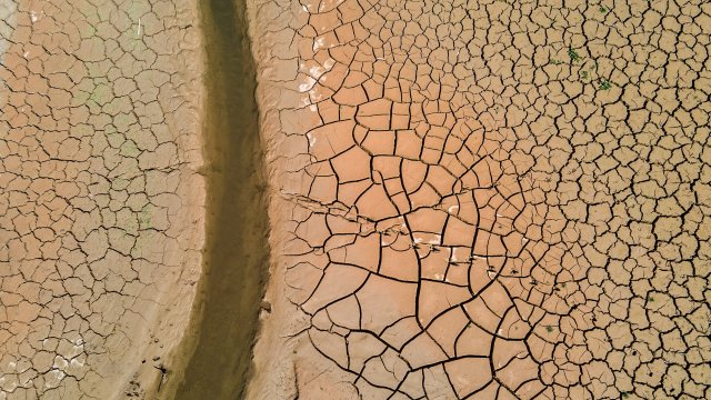 Снимка: Angel Garcia/Bloomberg