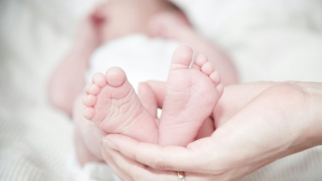 Снимка: Pexels.com