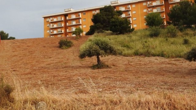 <p>
	<em>Снимка: Investor.bg</em></p>
